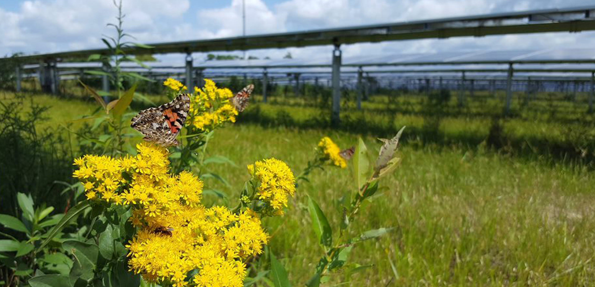 Centrali pi\u00F9 sostenibili: i traguardi ottenuti con il modello Sustainable Plant