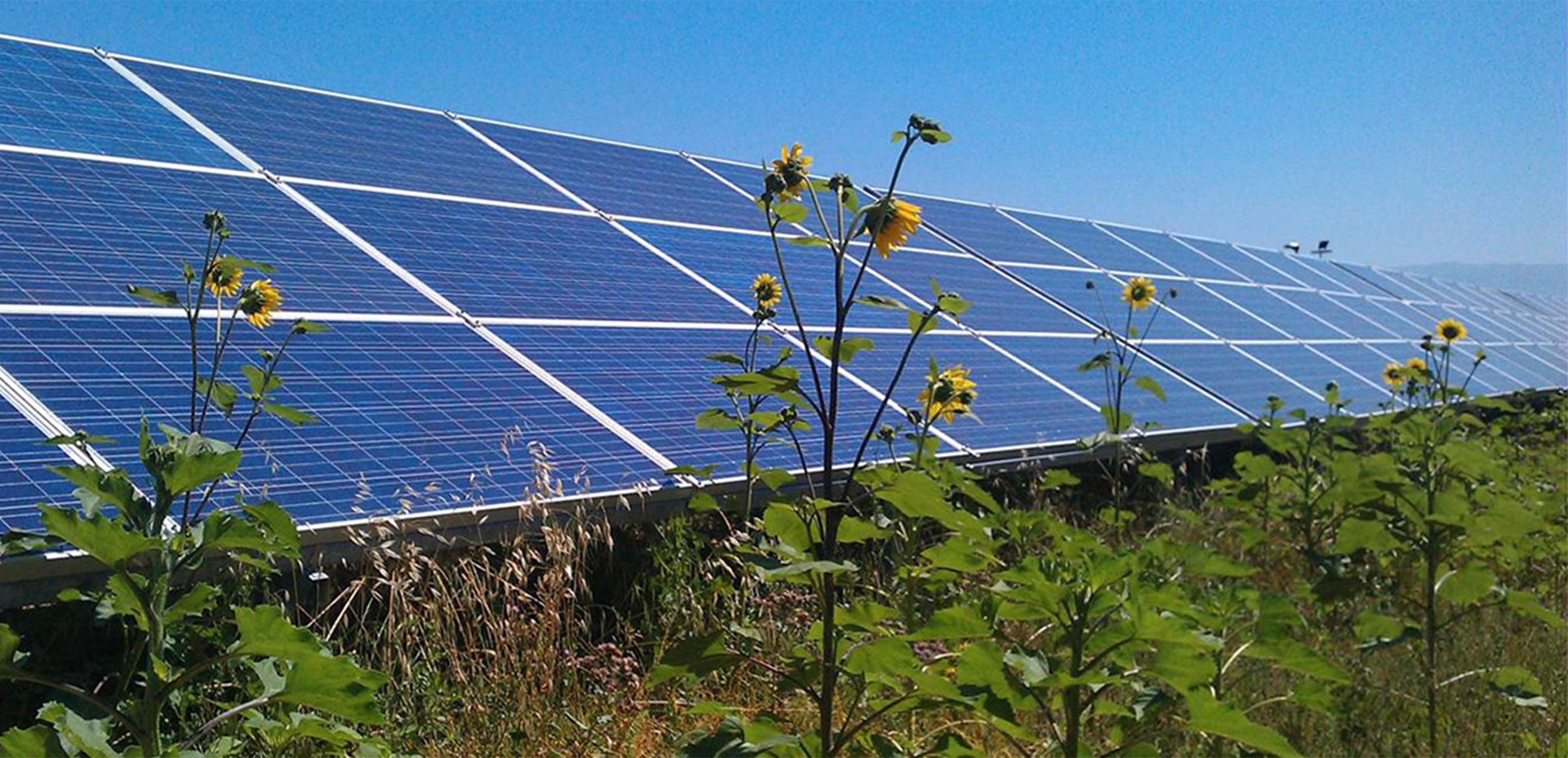 Drones y software para renovables Enel Green Power Enel Green Power