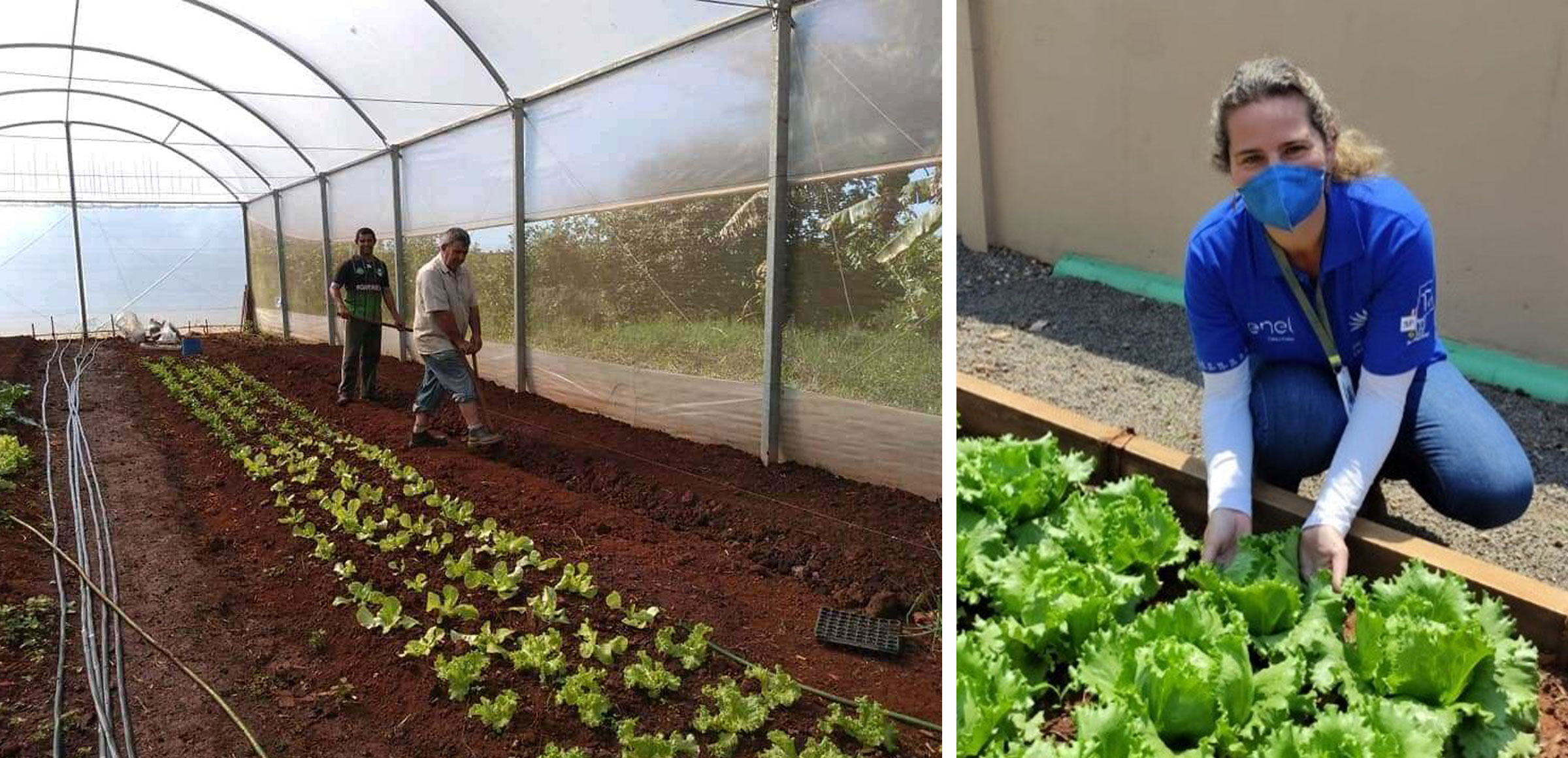 Sustainability and family farming, a project in Brazil that feeds the future