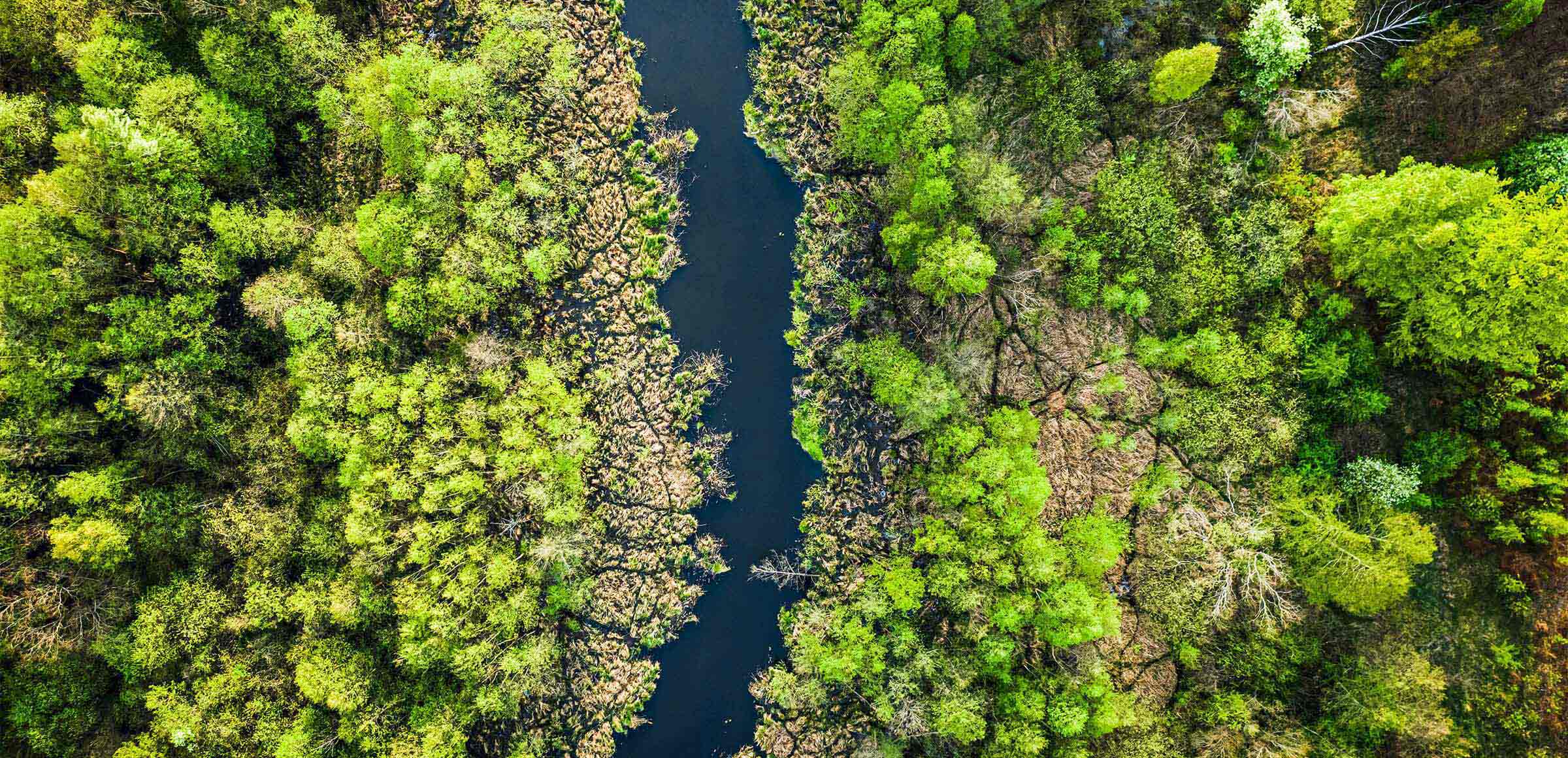 Sustentabilidade \u00E9 o novo normal