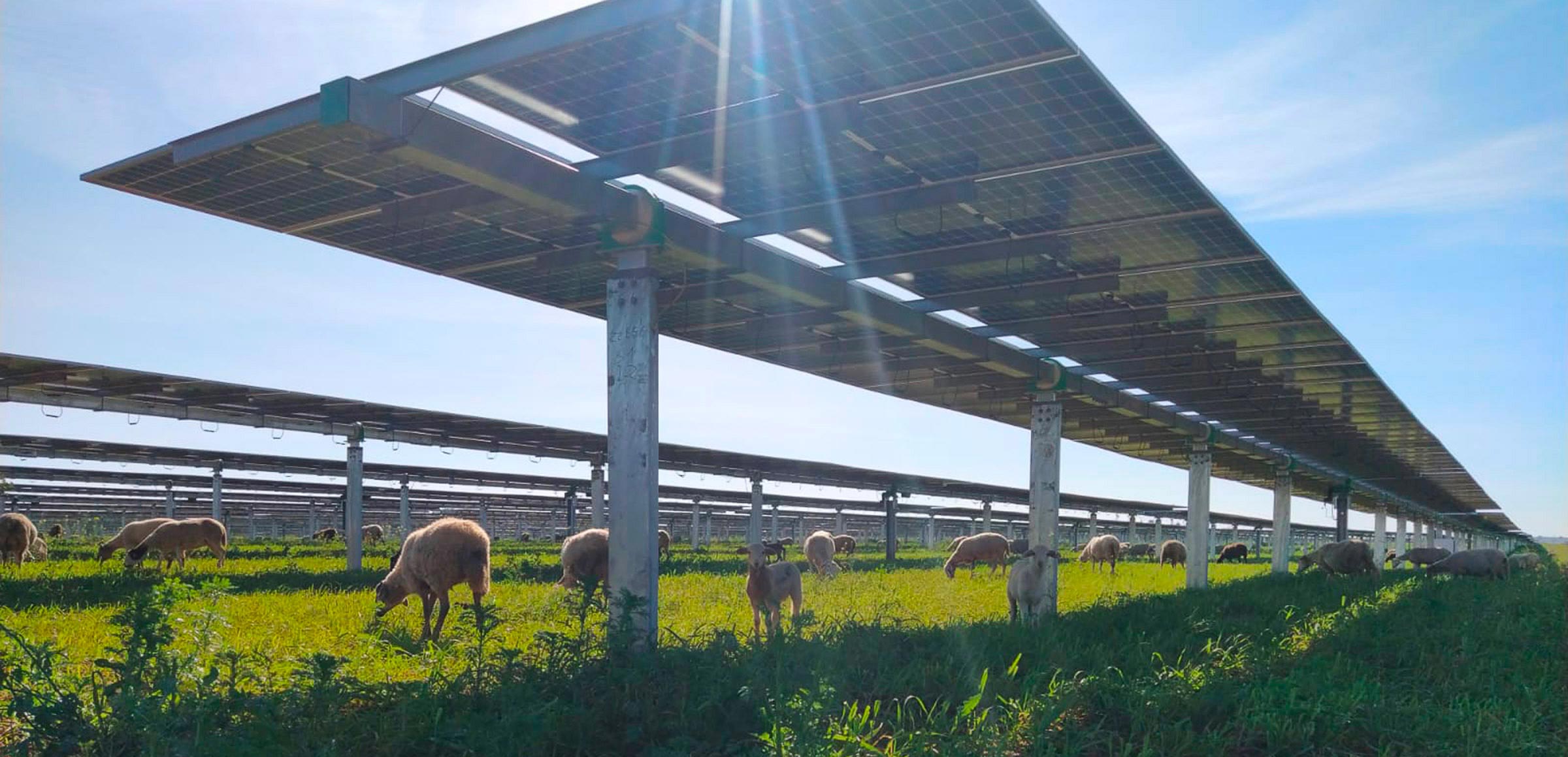 Uso del terreno, habitat e rinnovabili: Enel Green Power in prima linea per la sostenibilit\u00E0