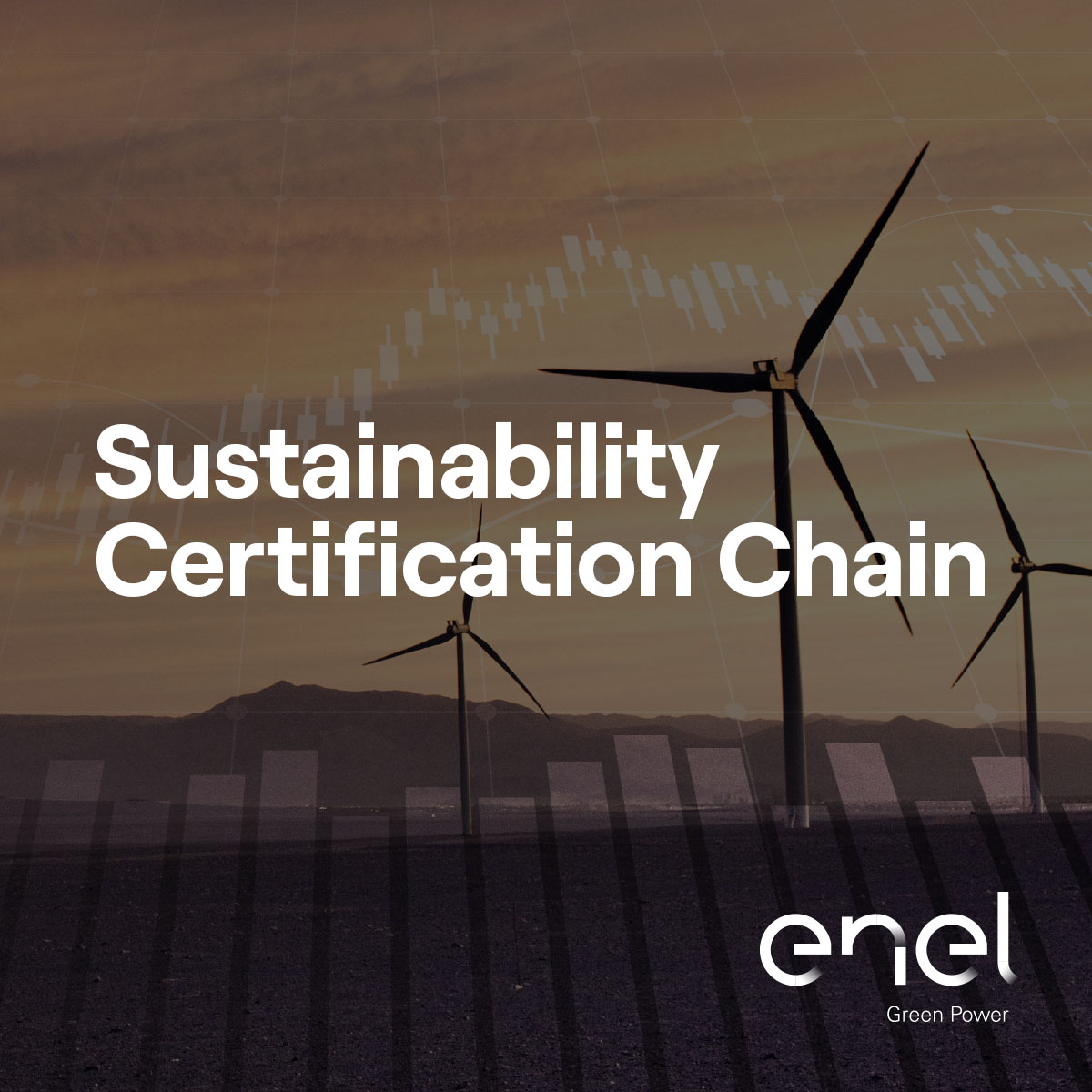 Sustainability Certification Chain