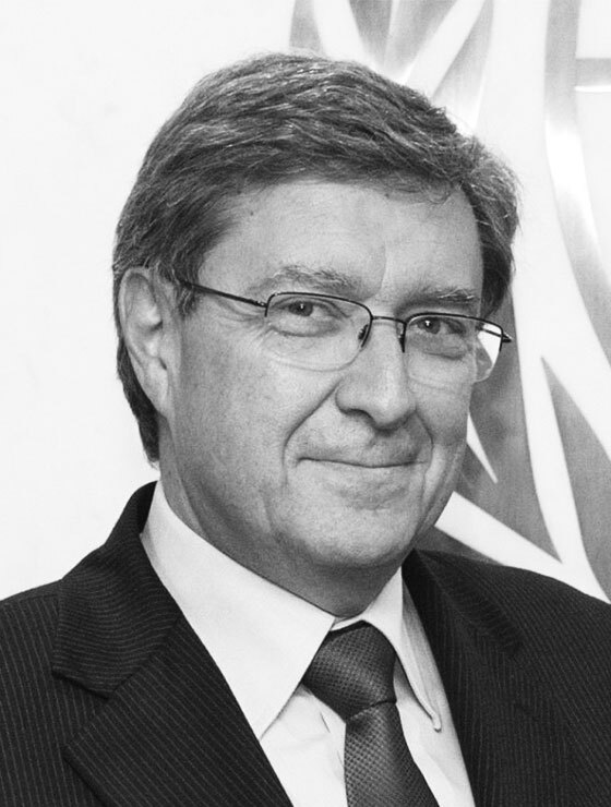 Profesor Enrico Giovannini
