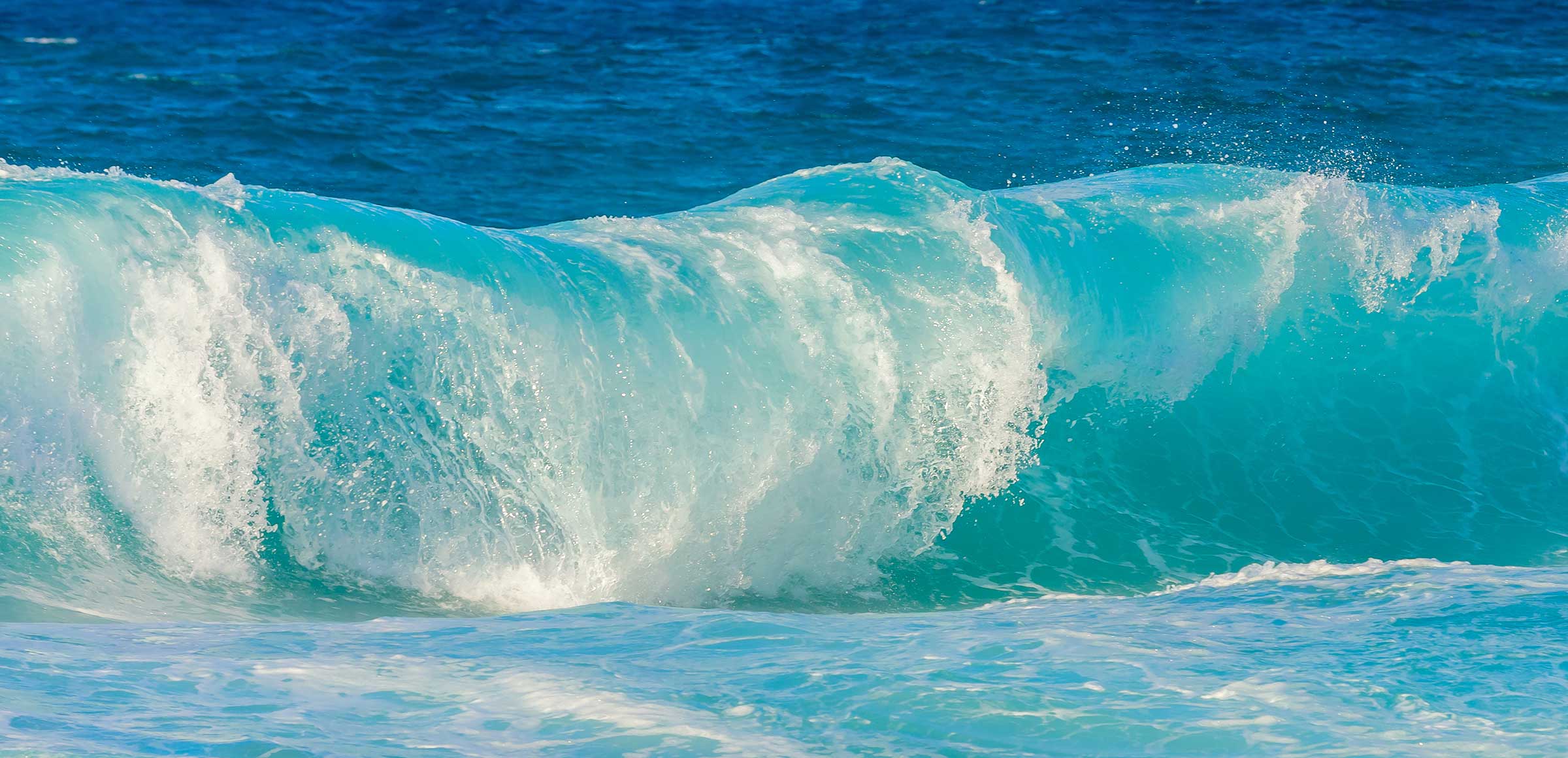 Esta TURBINA genera ELECTRICIDAD con el agua de los ríos y PROTEGE la VIDA  MARINA