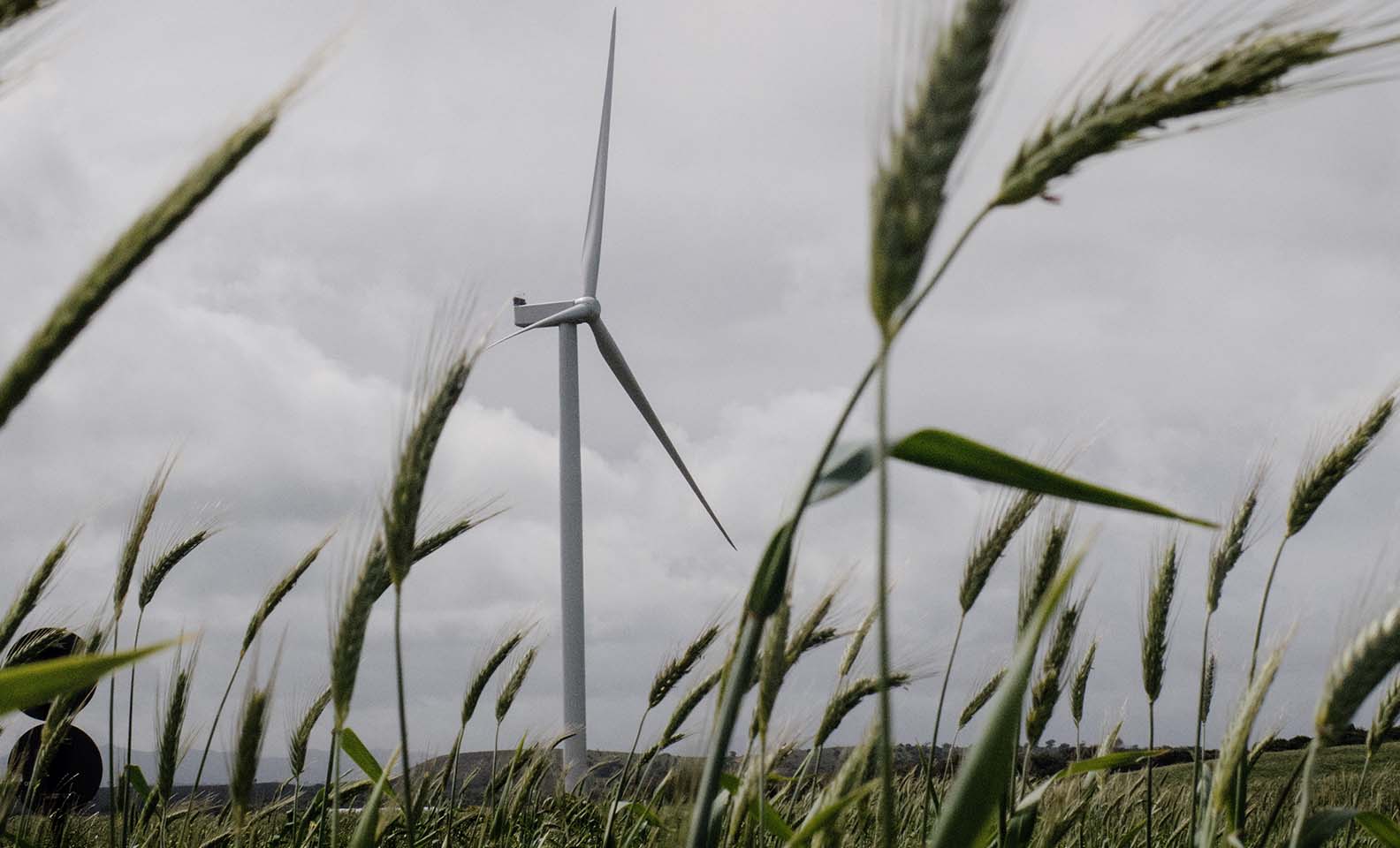 View on a wind turbine in a field