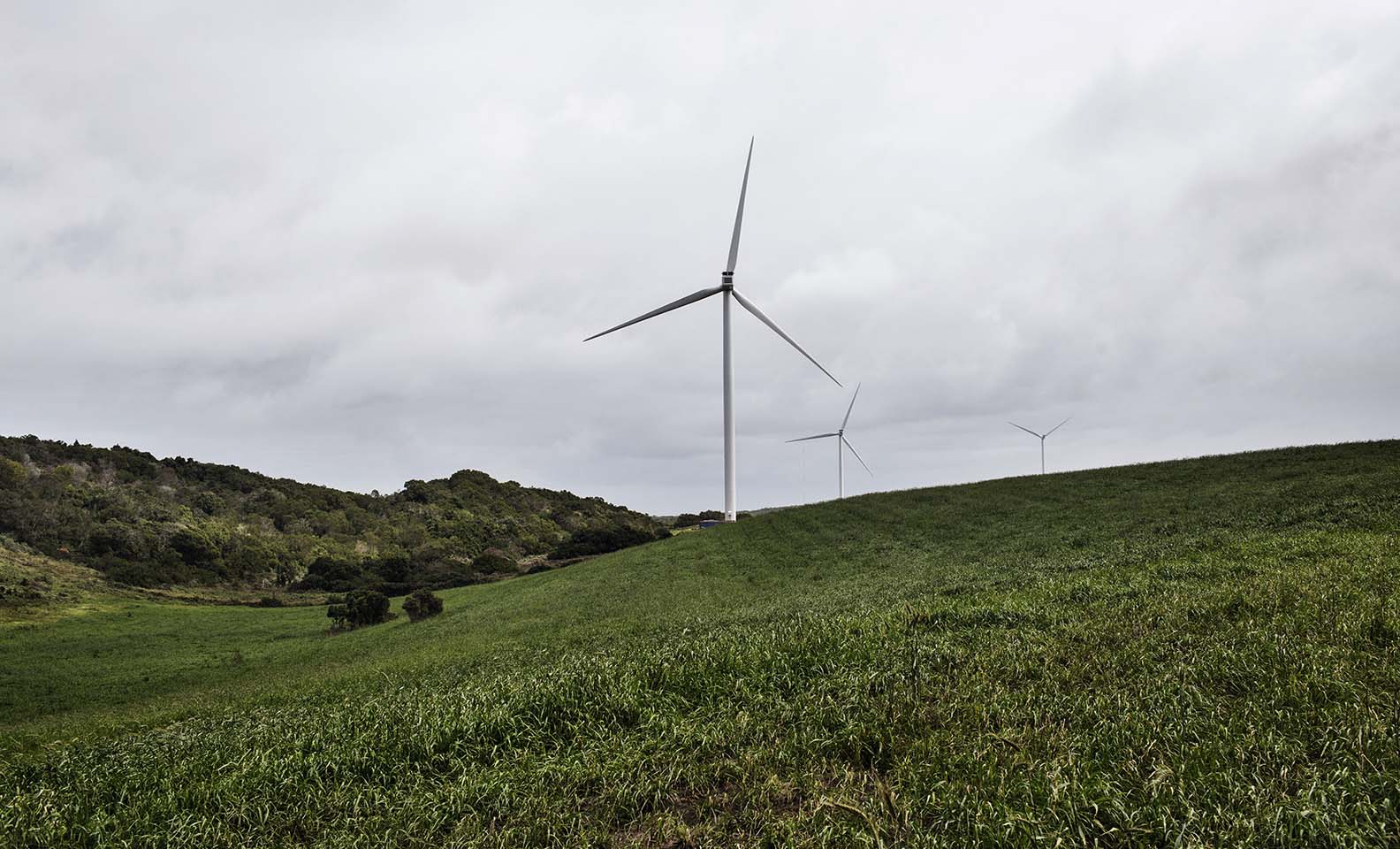 Vista general de la pala de una turbina eólica en una pradera