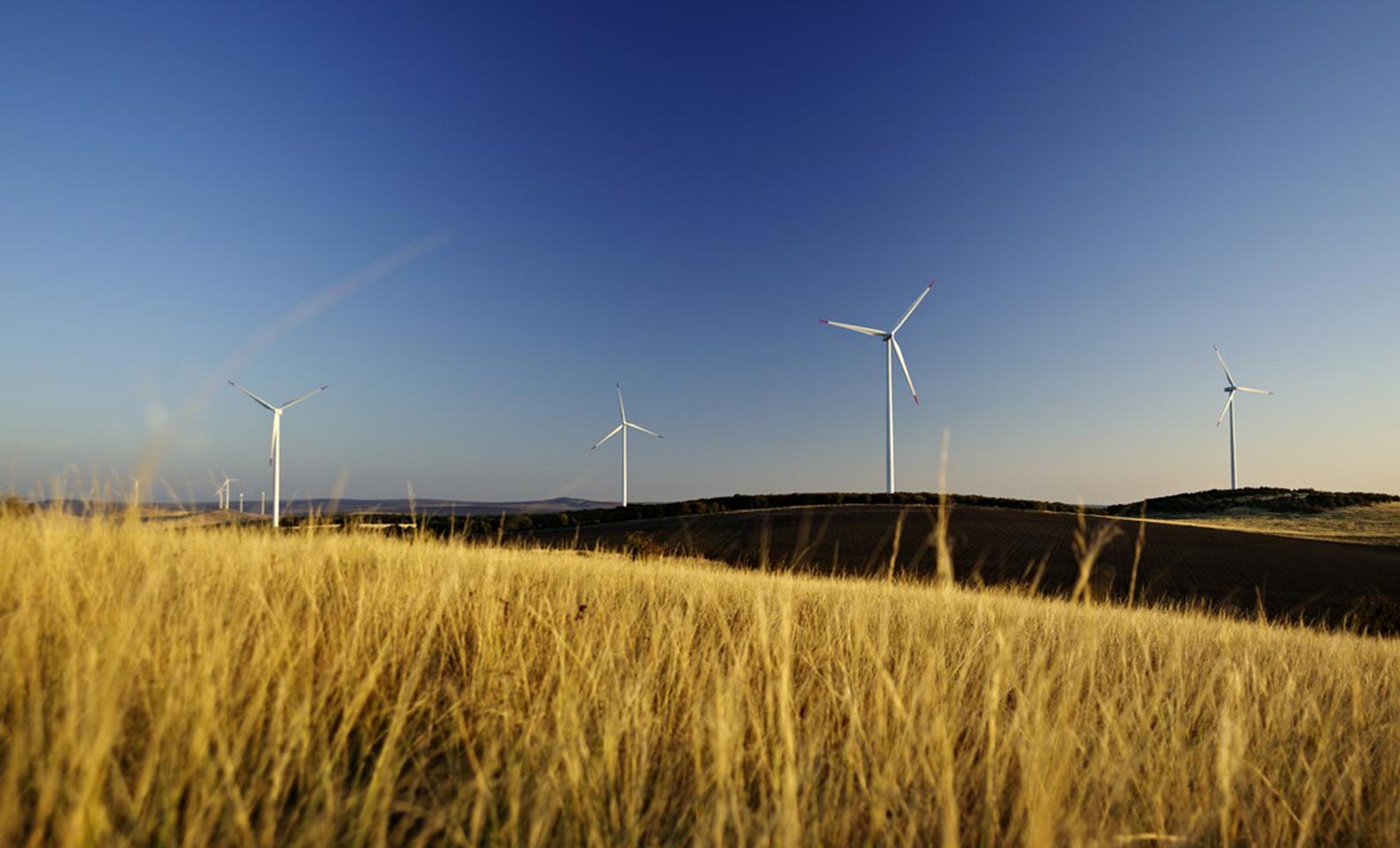 Wind turbines near grain fields