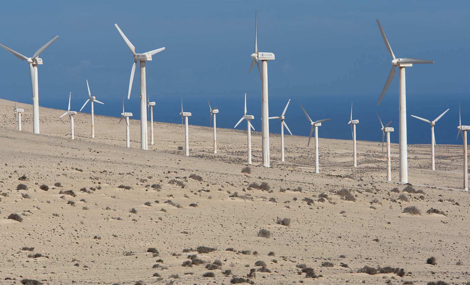 Wind farm