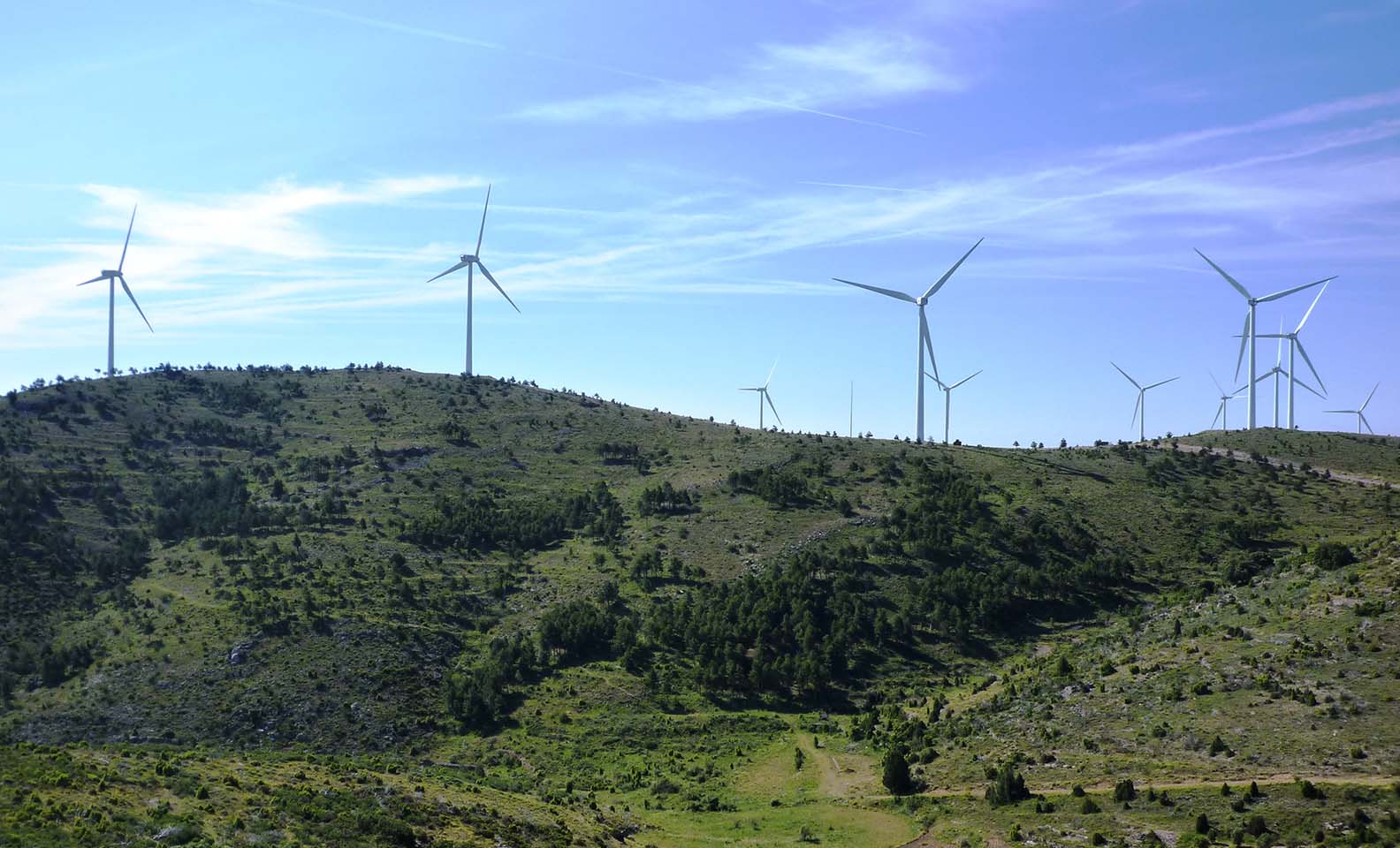 Il parco eolico di Casillas