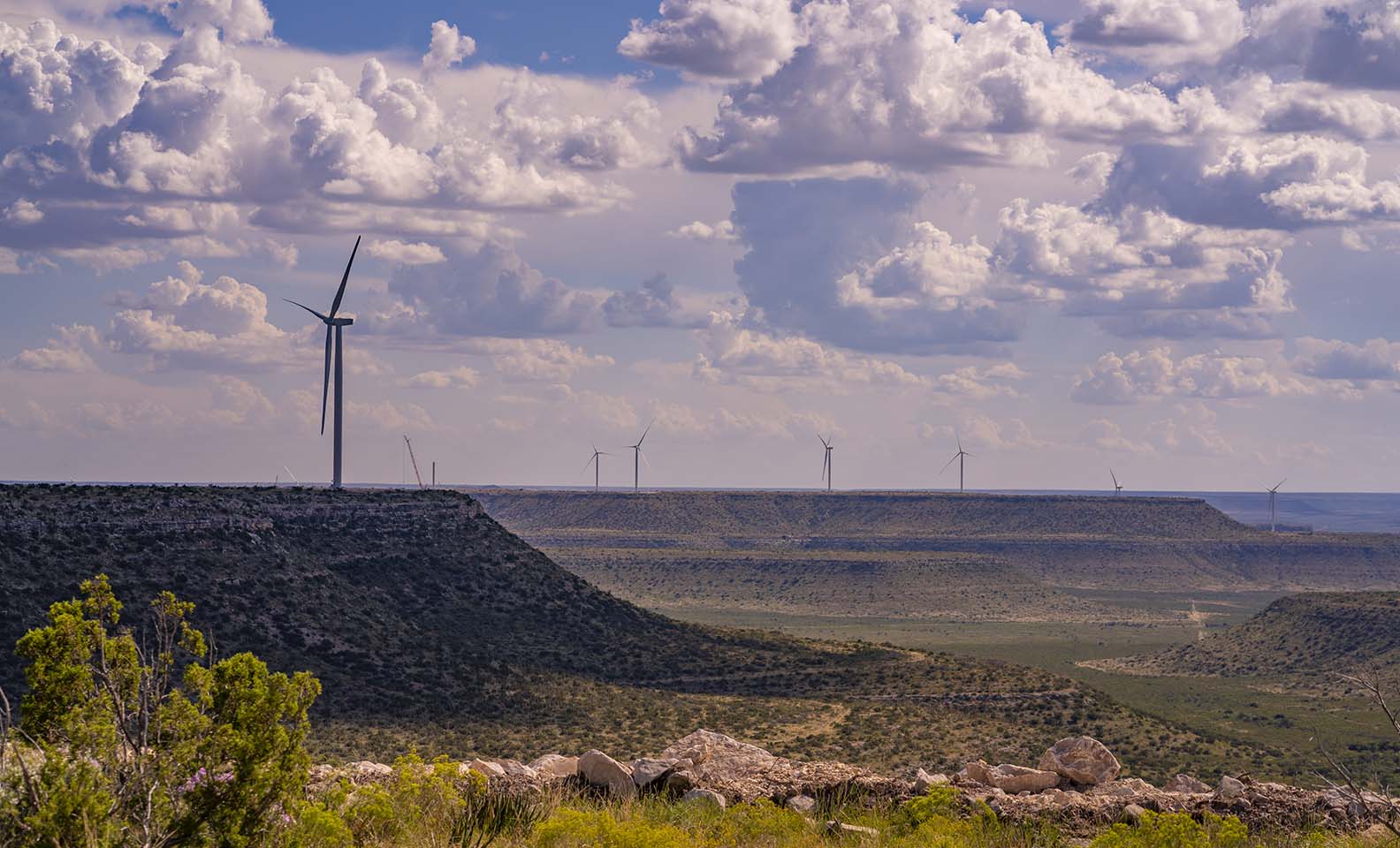 Overview of wind turbines and green rural landscape