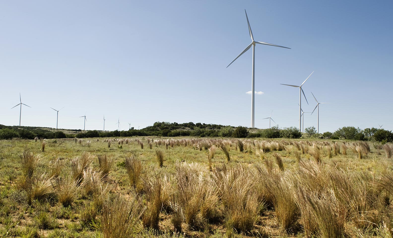 Wind turbines overflown by rainbow