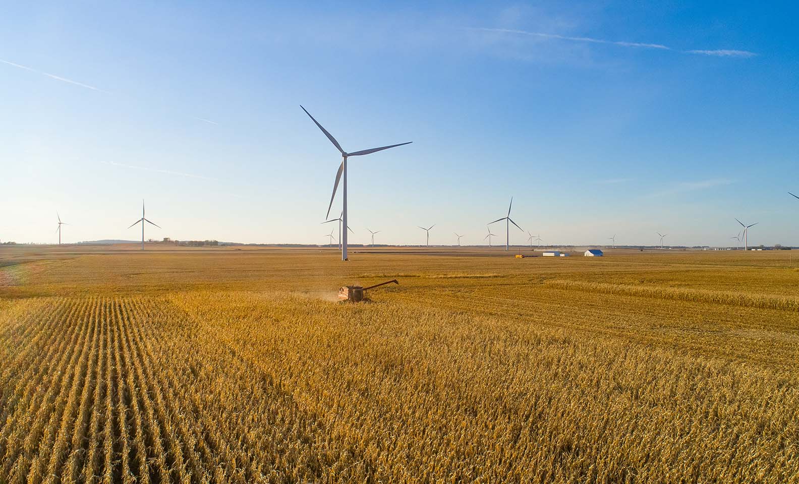 Wind turbines between grain fields