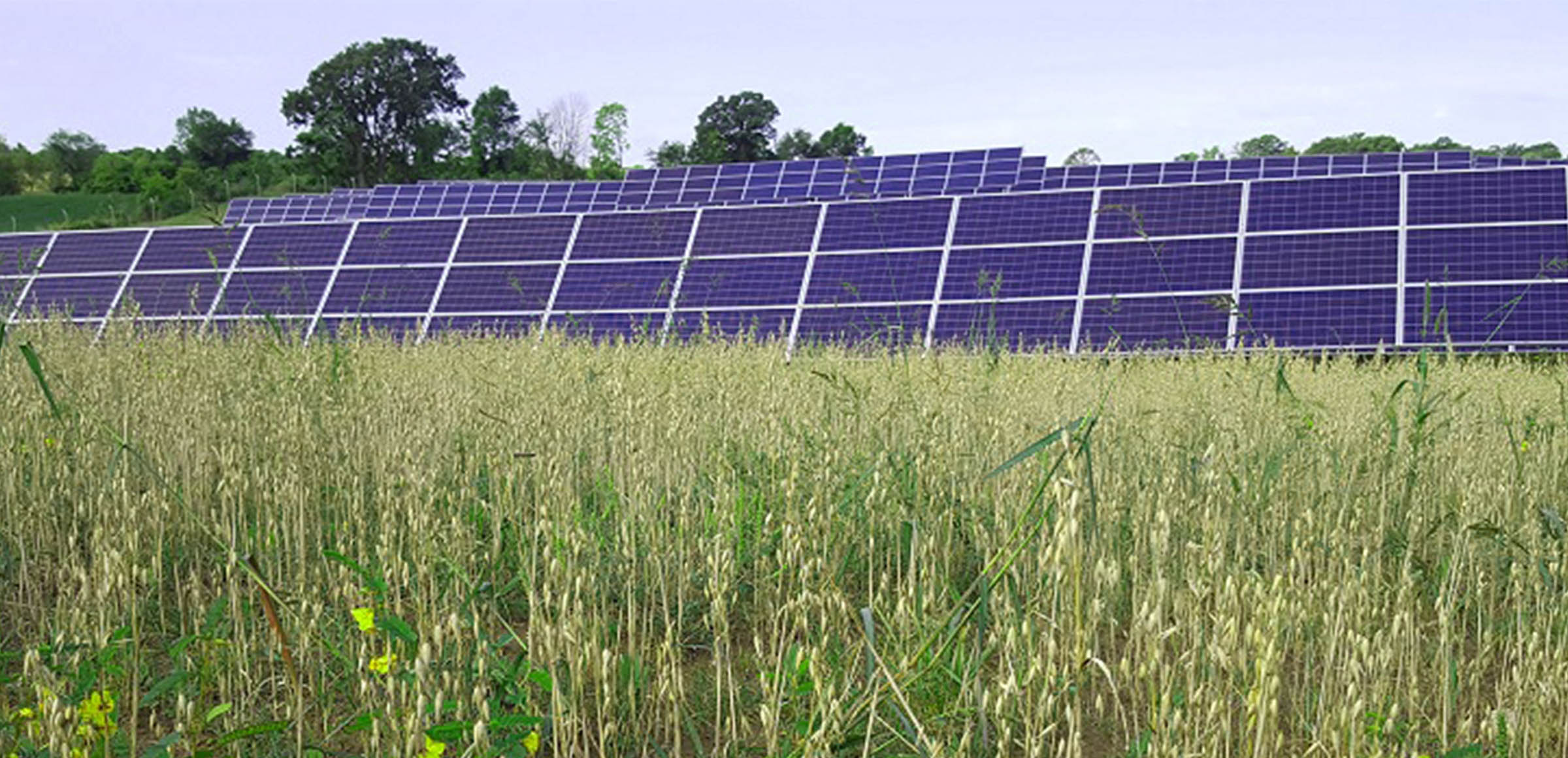 Parque solar Waypost - Enel Green Power