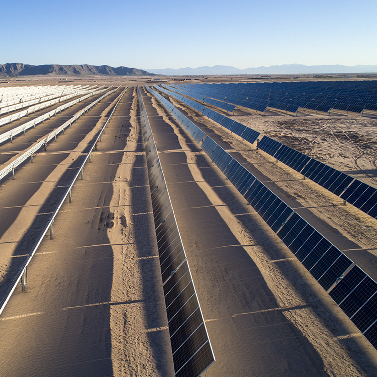 Sustainability Certification Chain